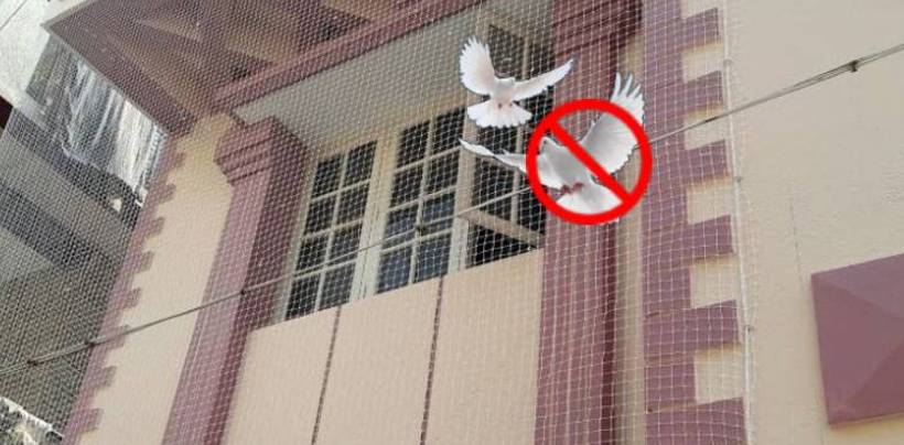 Pigeon Safety Nets Installation Cost in Chennai | Call 8122672246 Fixing Nets